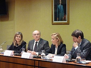 La Subcomisión de Extranjería analiza 20 años de defensa de los derechos de personas extranjeras
