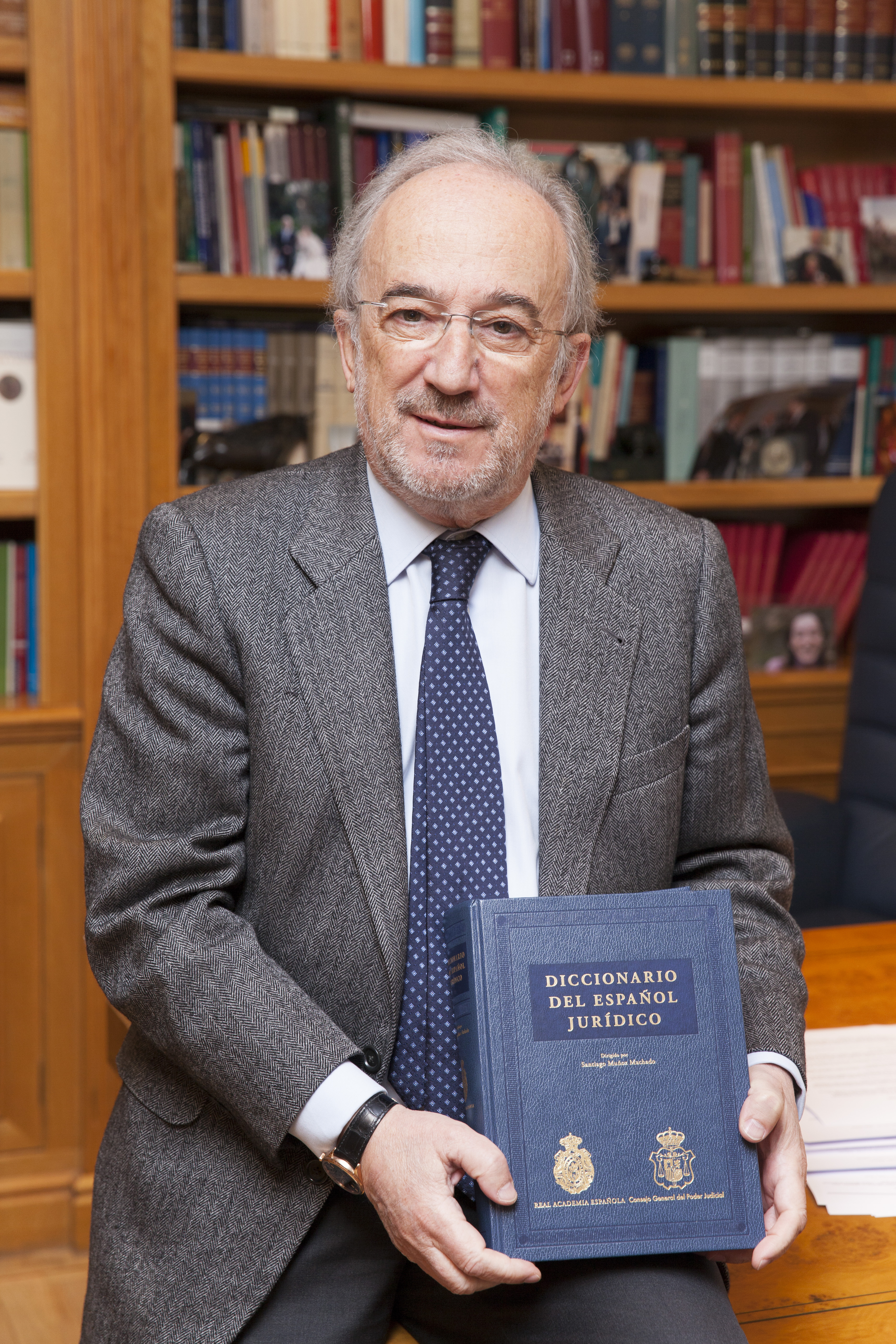 Santiago Muñoz Machado, Académico