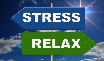 Gestiona tu estrés: gestiona tu bienestar (II)