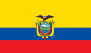 Participación del Sector Privado en Sectores Estratégicos y Servicios Públicos en Ecuador