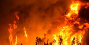 Los abogados gallegos asesorarán gratuitamente a personas afectadas por incendios forestales 