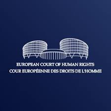 El TEDH se pronuncia sobre la demanda de asociaciones medioambientales contra Francia en relación a la tutela judicial efectiva y el derecho de acceso a la información