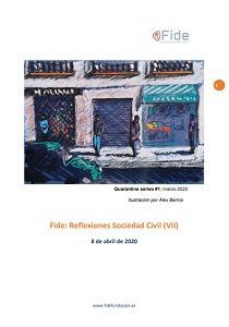 Reflexiones desde la Sociedad Civil (VII)