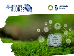 “Litigación estratégica y justicia climática internacional” en la próxima Conferencia de los Lunes